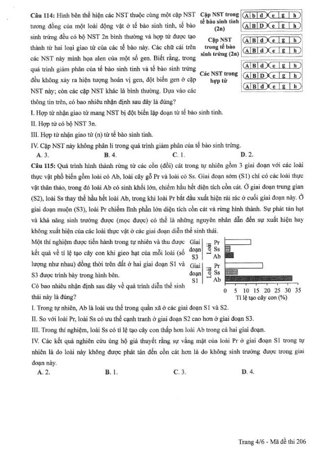 Đề thi môn Sinh Học mã đề 206 - Tốt nghiệp THPT 2024,Đề thi môn Sinh Học Tốt nghiệp THPT 2024