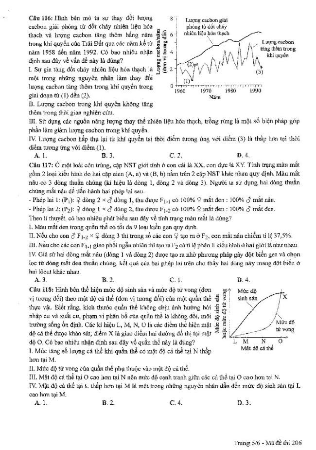 Đề thi môn Sinh Học mã đề 206 - Tốt nghiệp THPT 2024,Đề thi môn Sinh Học Tốt nghiệp THPT 2024