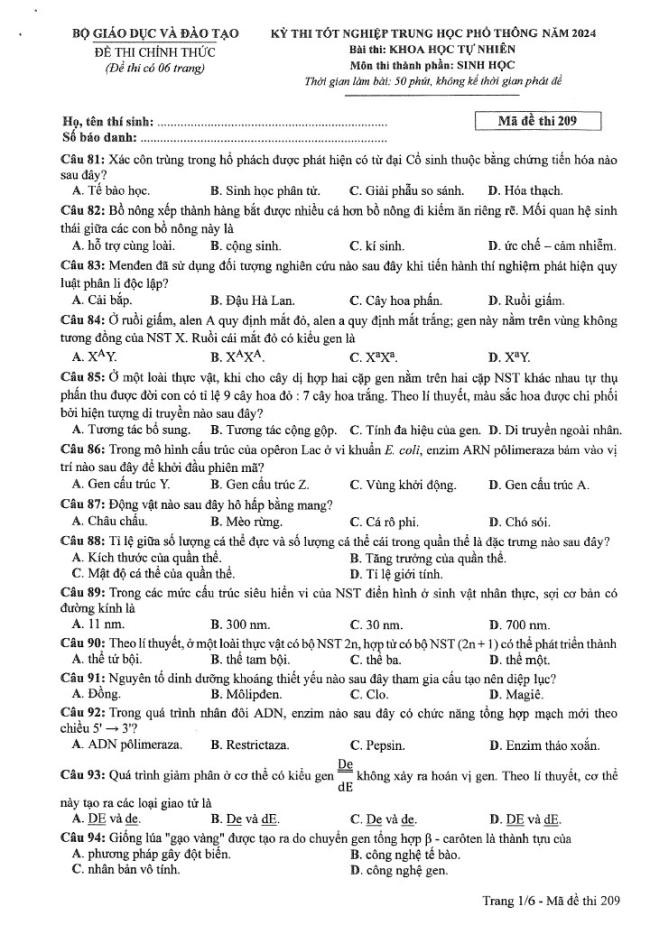 Đề thi môn Sinh Học mã đề 209 - Tốt nghiệp THPT 2024,Đề thi môn Sinh Học Tốt nghiệp THPT 2024