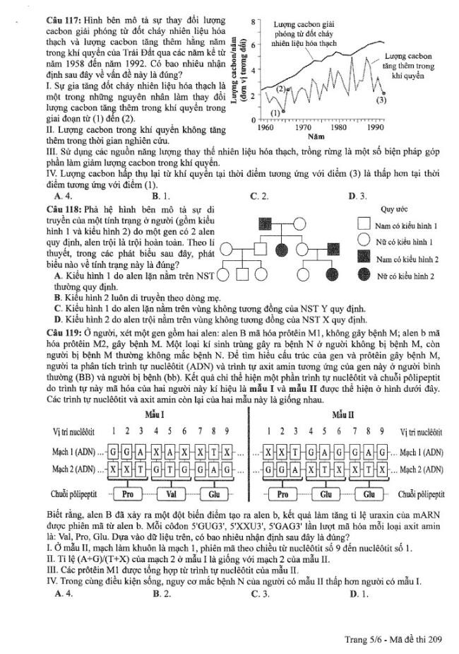 Đề thi môn Sinh Học mã đề 209 - Tốt nghiệp THPT 2024,Đề thi môn Sinh Học Tốt nghiệp THPT 2024