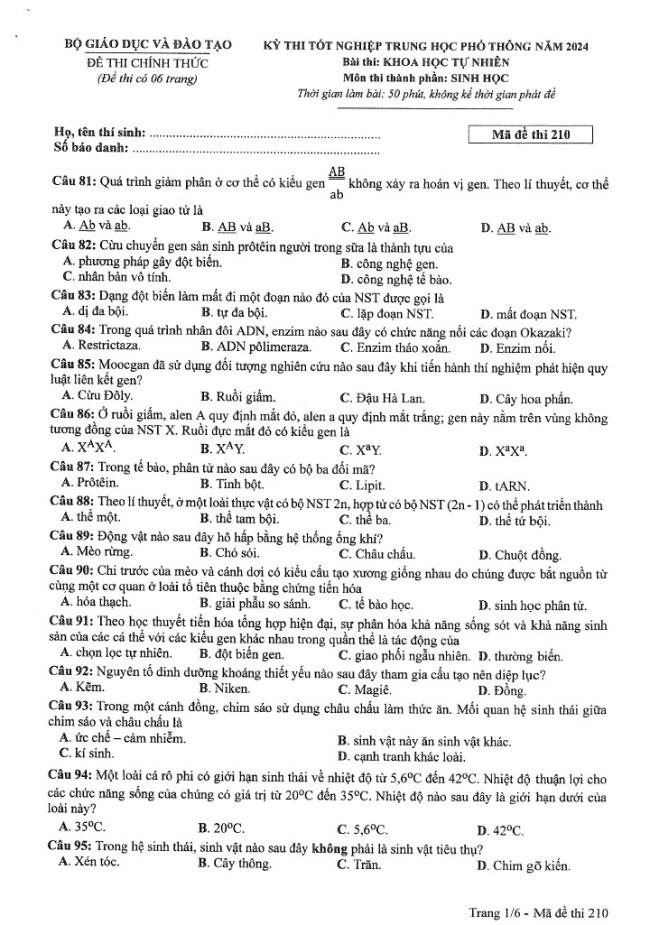 Đề thi môn Sinh Học mã đề 210 - Tốt nghiệp THPT 2024,Đề thi môn Sinh Học Tốt nghiệp THPT 2024