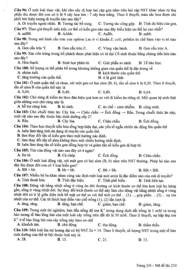 Đề thi môn Sinh Học mã đề 210 - Tốt nghiệp THPT 2024,Đề thi môn Sinh Học Tốt nghiệp THPT 2024