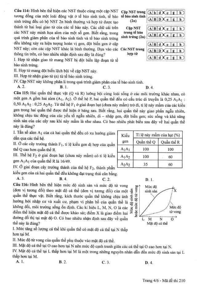 Đề thi môn Sinh Học mã đề 210 - Tốt nghiệp THPT 2024,Đề thi môn Sinh Học Tốt nghiệp THPT 2024