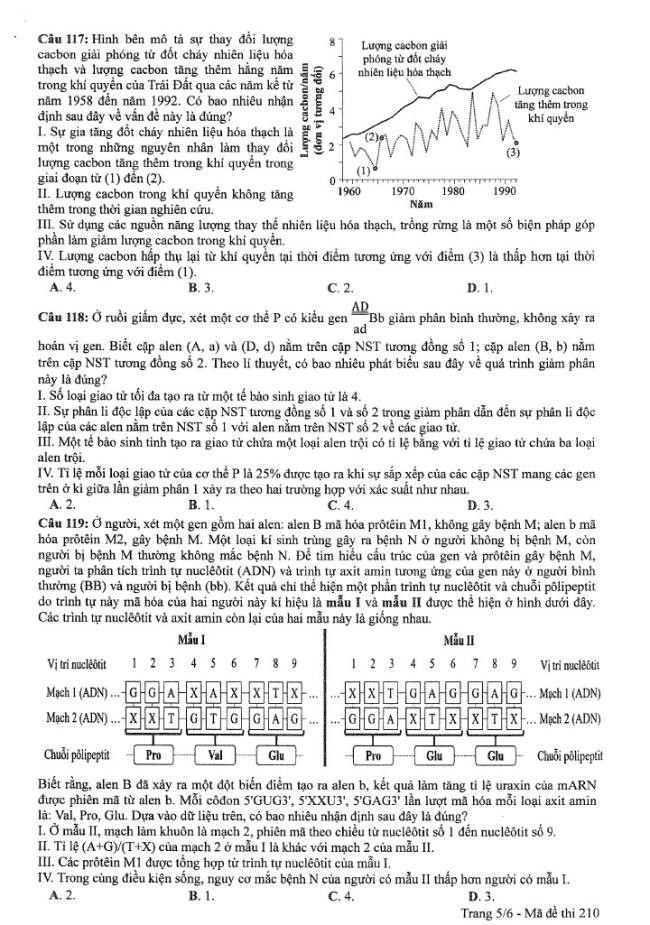Đề thi môn Sinh Học mã đề 210 - Tốt nghiệp THPT 2024,Đề thi môn Sinh Học Tốt nghiệp THPT 2024