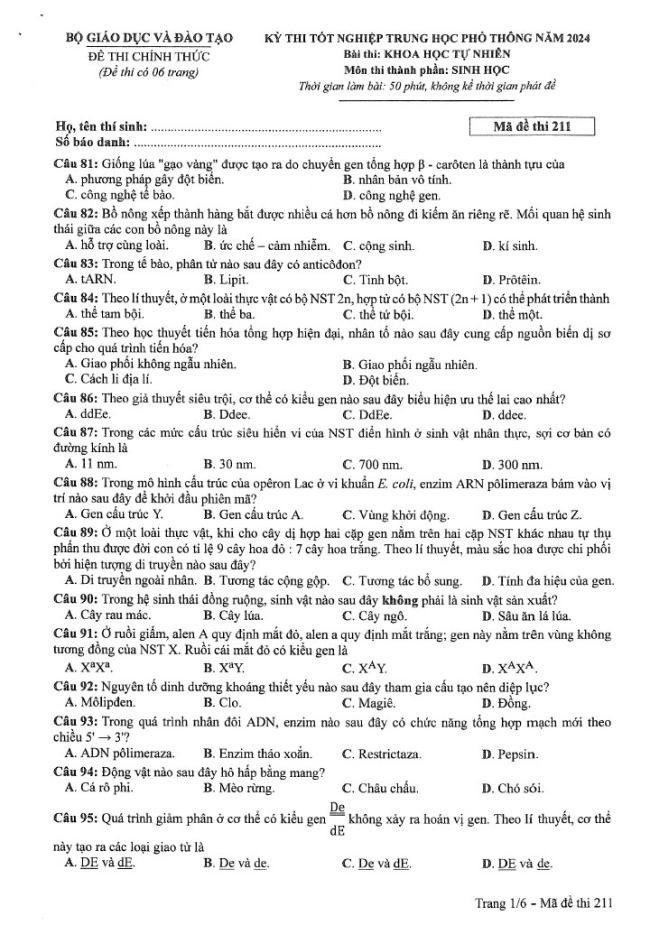 Đề thi môn Sinh Học mã đề 211 - Tốt nghiệp THPT 2024,Đề thi môn Sinh Học tốt nghiệp THPT 2024