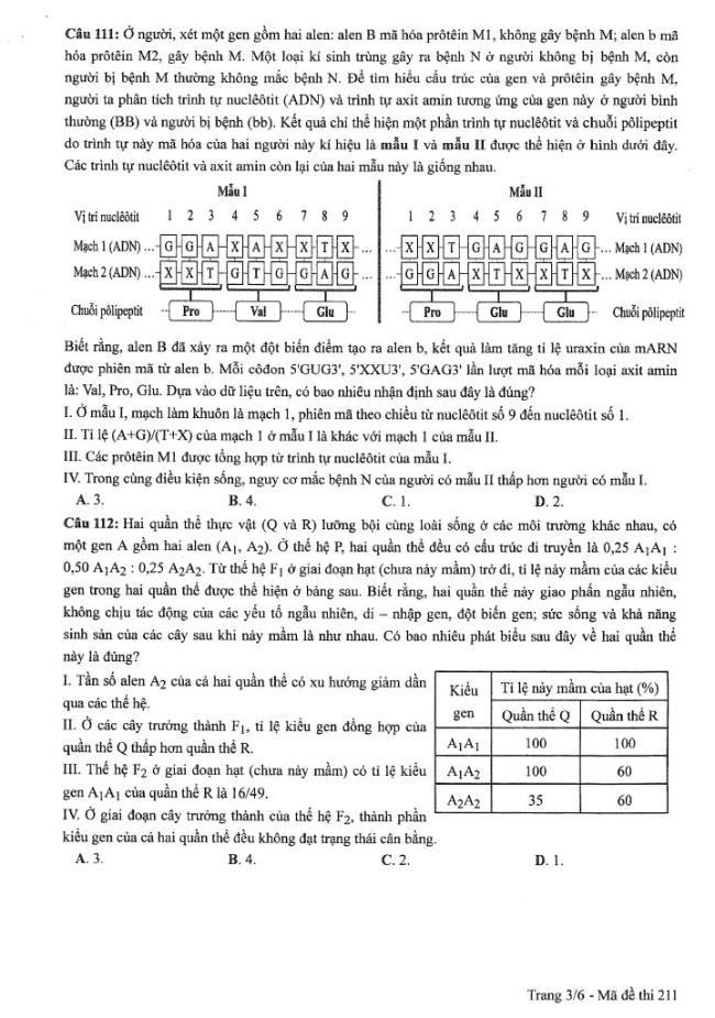 Đề thi môn Sinh Học mã đề 211 - Tốt nghiệp THPT 2024,Đề thi môn Sinh Học tốt nghiệp THPT 2024