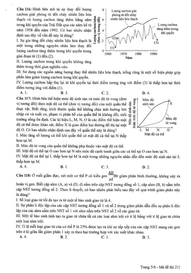 Đề thi môn Sinh Học mã đề 211 - Tốt nghiệp THPT 2024,Đề thi môn Sinh Học tốt nghiệp THPT 2024