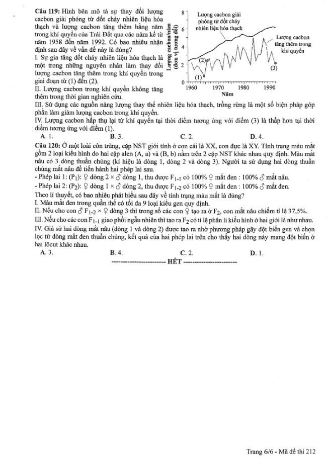 Đề thi môn Sinh Học mã đề 212 - Tốt nghiệp THPT 2024,Đề thi môn Sinh Học Tốt nghiệp THPT 2024