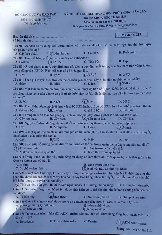 Đề thi môn Sinh Học mã đề 213 - Tốt nghiệp THPT 2024,,Đề thi môn Sinh Học Tốt nghiệp THPT 2024,