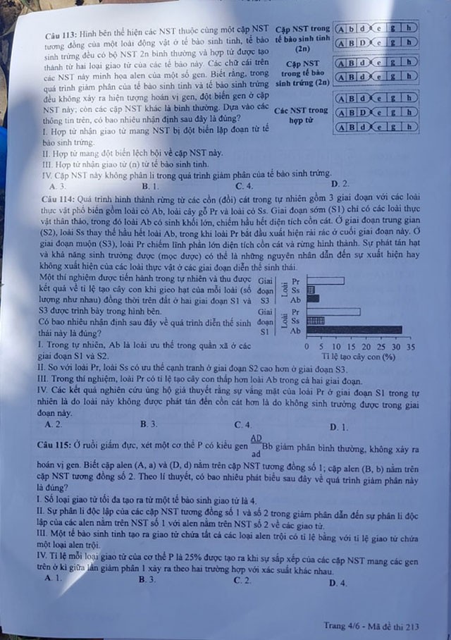 Đề thi môn Sinh Học mã đề 213 - Tốt nghiệp THPT 2024,,Đề thi môn Sinh Học Tốt nghiệp THPT 2024,