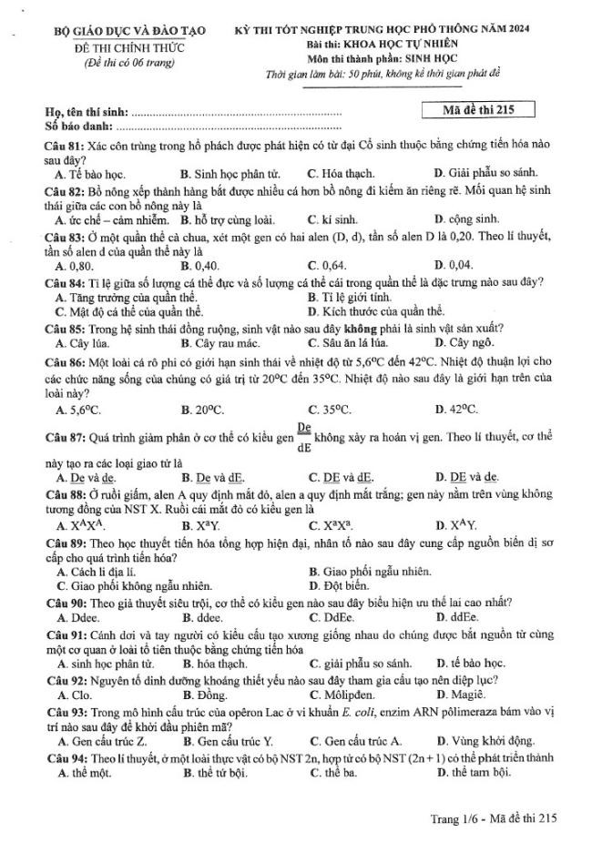 Đề thi môn Sinh Học mã đề 215 - Tốt nghiệp THPT 2024,Đề thi môn Sinh Học Tốt nghiệp THPT 2024