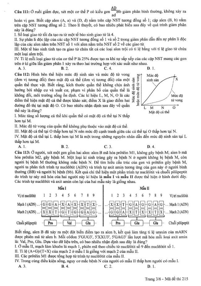 Đề thi môn Sinh Học mã đề 215 - Tốt nghiệp THPT 2024,Đề thi môn Sinh Học Tốt nghiệp THPT 2024