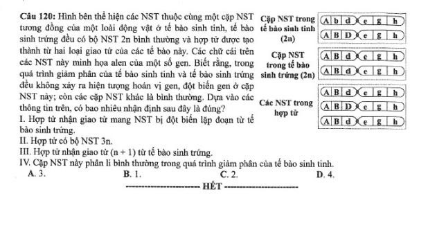 Đề thi môn Sinh Học mã đề 215 - Tốt nghiệp THPT 2024,Đề thi môn Sinh Học Tốt nghiệp THPT 2024