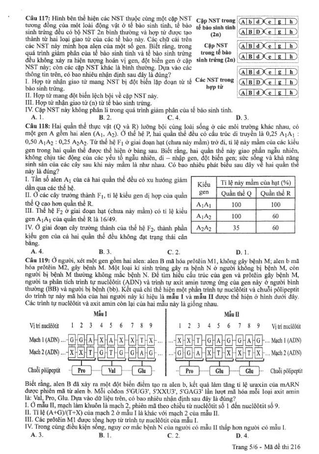 Đề thi môn Sinh Học mã đề 216 - Tốt nghiệp THPT 2024,Đề thi môn Sinh Học Tốt nghiệp THPT 2024