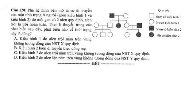 Đề thi môn Sinh Học mã đề 216 - Tốt nghiệp THPT 2024,Đề thi môn Sinh Học Tốt nghiệp THPT 2024