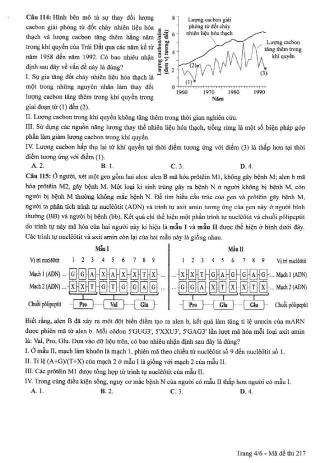 Đề thi môn Sinh Học mã đề 217 - Tốt nghiệp THPT 2024,Đề thi môn Sinh Học Tốt nghiệp THPT 2024