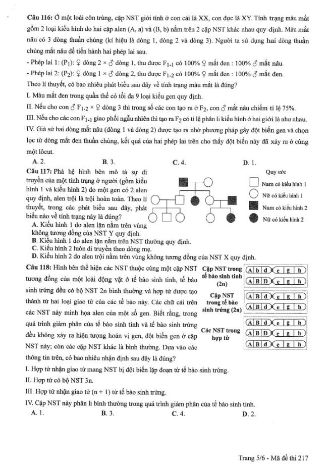 Đề thi môn Sinh Học mã đề 217 - Tốt nghiệp THPT 2024,Đề thi môn Sinh Học Tốt nghiệp THPT 2024