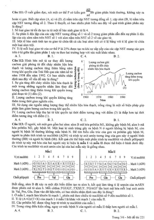 Đề thi môn Sinh Học mã đề 221 - Tốt nghiệp THPT 2024,Đề thi môn Sinh Học Tốt nghiệp THPT 2024