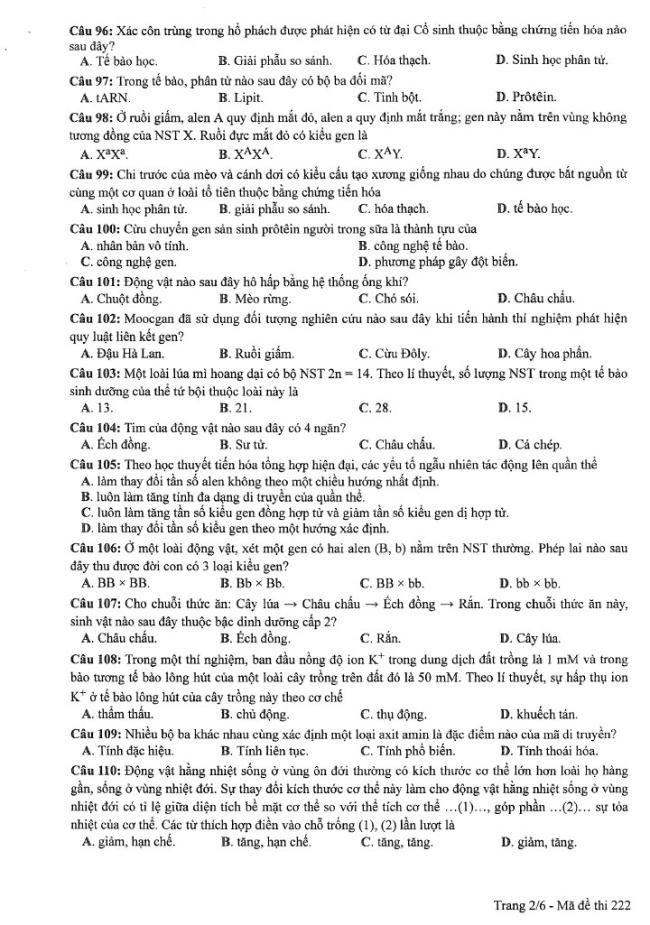Đề thi môn Sinh Học mã đề 222 - Tốt nghiệp THPT 2024,Đề thi môn Sinh Học Tốt nghiệp THPT 2024