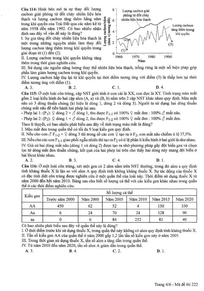 Đề thi môn Sinh Học mã đề 222 - Tốt nghiệp THPT 2024,Đề thi môn Sinh Học Tốt nghiệp THPT 2024