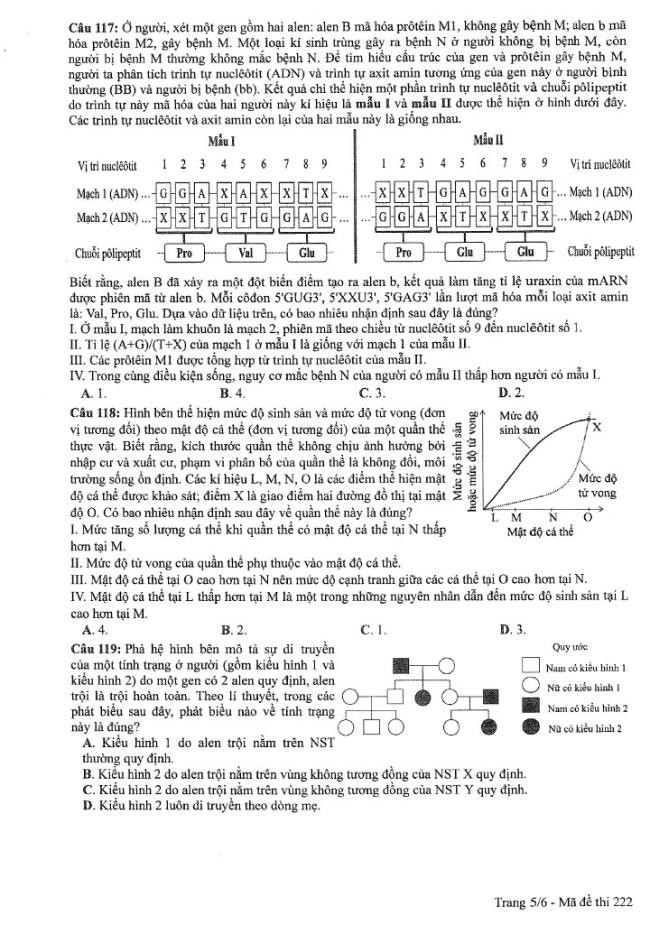 Đề thi môn Sinh Học mã đề 222 - Tốt nghiệp THPT 2024,Đề thi môn Sinh Học Tốt nghiệp THPT 2024