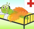 Hình ảnh mã số 446,đuổi hình bắt chữ,bắt chữ đuổi hình