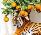 Hình ảnh mã số 510,đuổi hình bắt chữ,bắt chữ đuổi hình