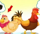 Hình ảnh mã số 519,đuổi hình bắt chữ,bắt chữ đuổi hình