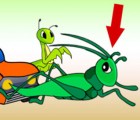 Hình ảnh mã số 693,đuổi hình bắt chữ,bắt chữ đuổi hình
