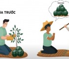 Hình ảnh mã số 2852,đuổi hình bắt chữ,bắt chữ đuổi hình