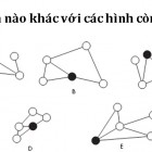 Số nào đây?