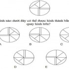 Khỉ quay vào số 1 hay 2?