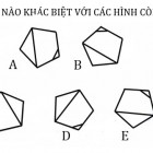 Số mấy còn thiếu trong hình này?