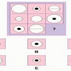 Điền số thích hợp vào chỗ trống?