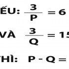 Hãy chọn hình ảnh đúng vào vị trí dấu hỏi