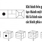 Hình bên trái còn thiếu hình nào trong số các hình sau A, B, C, D, E, F?