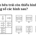 Hình nào ở vị trí dấu hỏi: A, B, C, D?