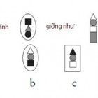 Hình nào khác biệt so với những hình còn lại: A, B, C, D, E, F?