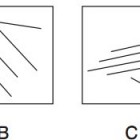 Chọn hình phù hợp để điền vào ô trống: Ô tô, Tivi, Đồng hồ, Chiếc diều?