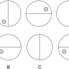 Hình nào ở vị trí tiếp theo? A, B, C, D: Tròn, vuông, tam giác