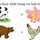 Có 3 hay 4 thanh gỗ trong bức hình này?