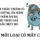 Khi hình trên gập lại có thể tạo thành hình nào trong các hình dưới đây