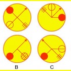 Phép tính các loại quả bằng bao nhiêu?