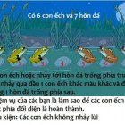 Bạn đếm được bao nhiêu hình tam giác?