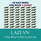 Tìm ra một quy luật phù hợp và cho biết hình nào còn thiếu ở dấu chấm hỏi