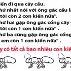 Bạn có tìm được con thỏ trong bức tranh này?