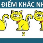 Có bao nhiêu hình tam giác?