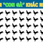 Hãy giúp người đàn ông trong chiếc thuyền di chuyển: sói, cừu và bắp cải qua sông