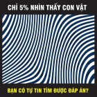 Tìm số thích hợp ở dấu hỏi chấm?