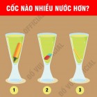 Bạn có tìm được con chim khác biệt?